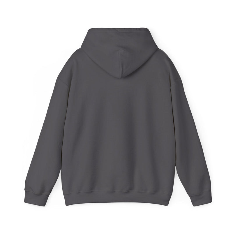 Charcoal pullover hoodie back view with hood