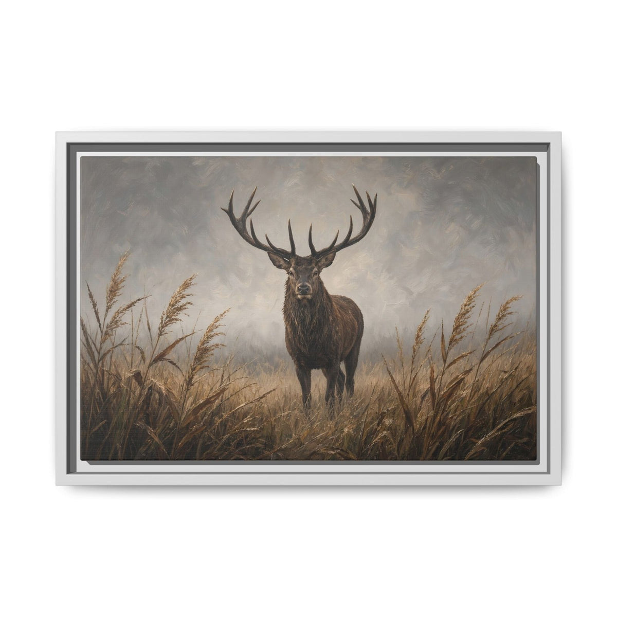 Stag deer canvas wall art in reeds, light frame, wider landscape crop